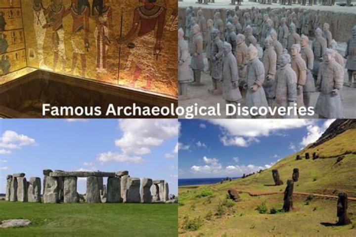 Discoveries And Insights For The "benk54" Niche